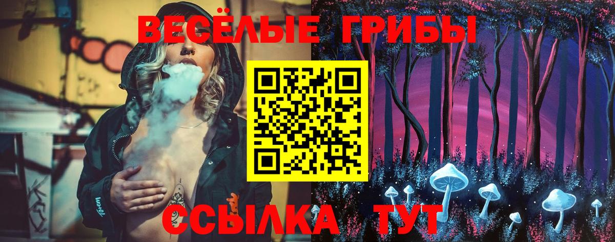 Псилоцибиновые грибы Psilocybe Клинцы