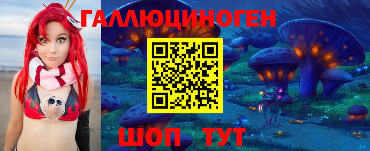 Галлюциногенные грибы Psilocybine cubensis  Псилоцибиновые грибы Psilocybine cubensis  Вход с VPN  Клинцы 